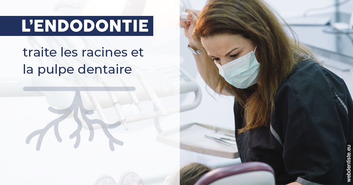 https://dr-strimon-frederic.chirurgiens-dentistes.fr/L'endodontie 1
