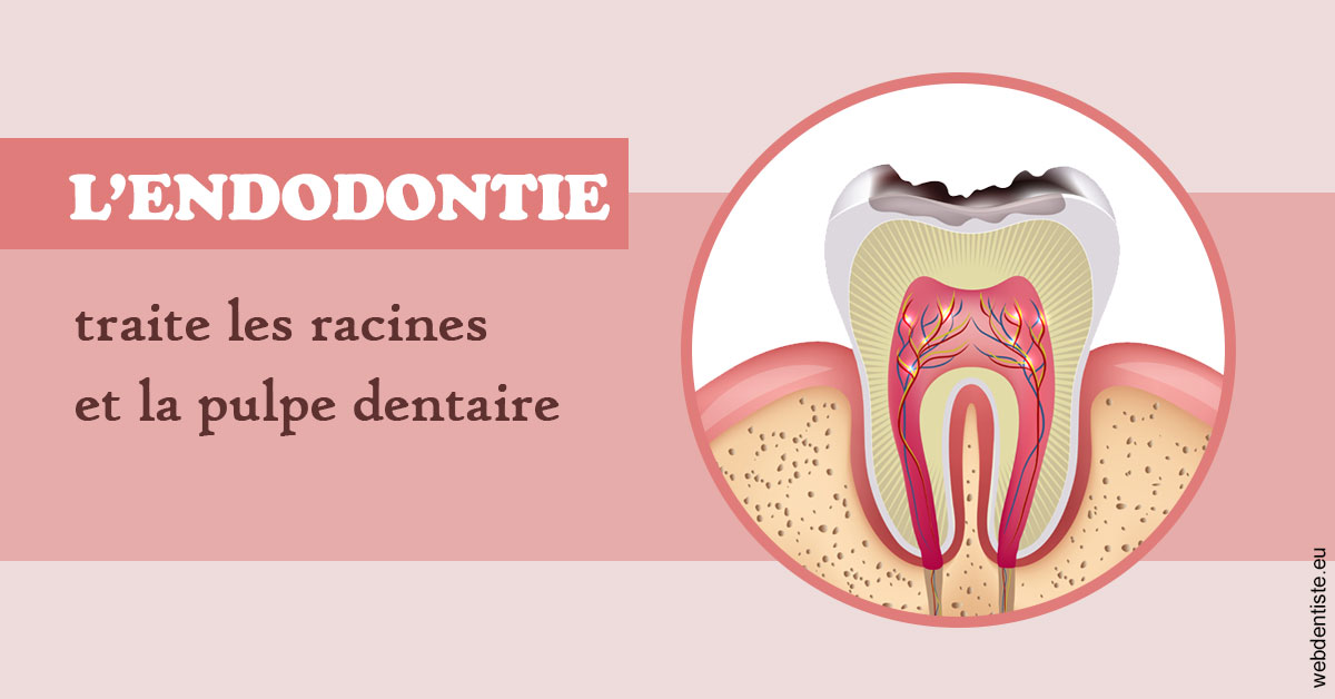 https://dr-strimon-frederic.chirurgiens-dentistes.fr/L'endodontie 2