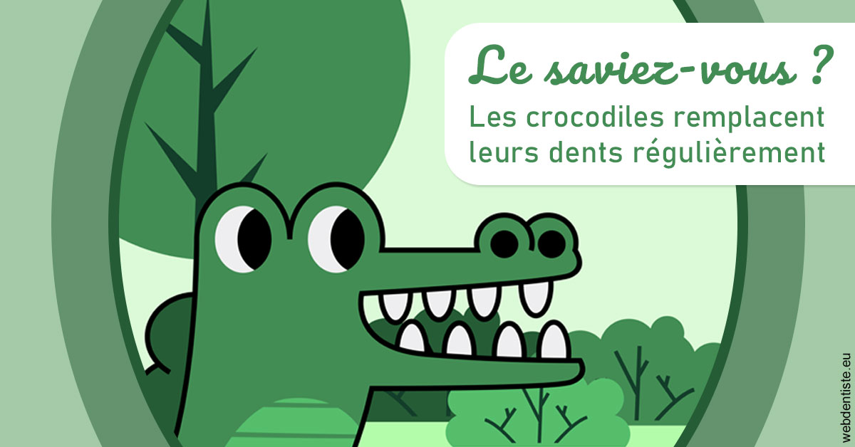 https://dr-strimon-frederic.chirurgiens-dentistes.fr/Crocodiles 2