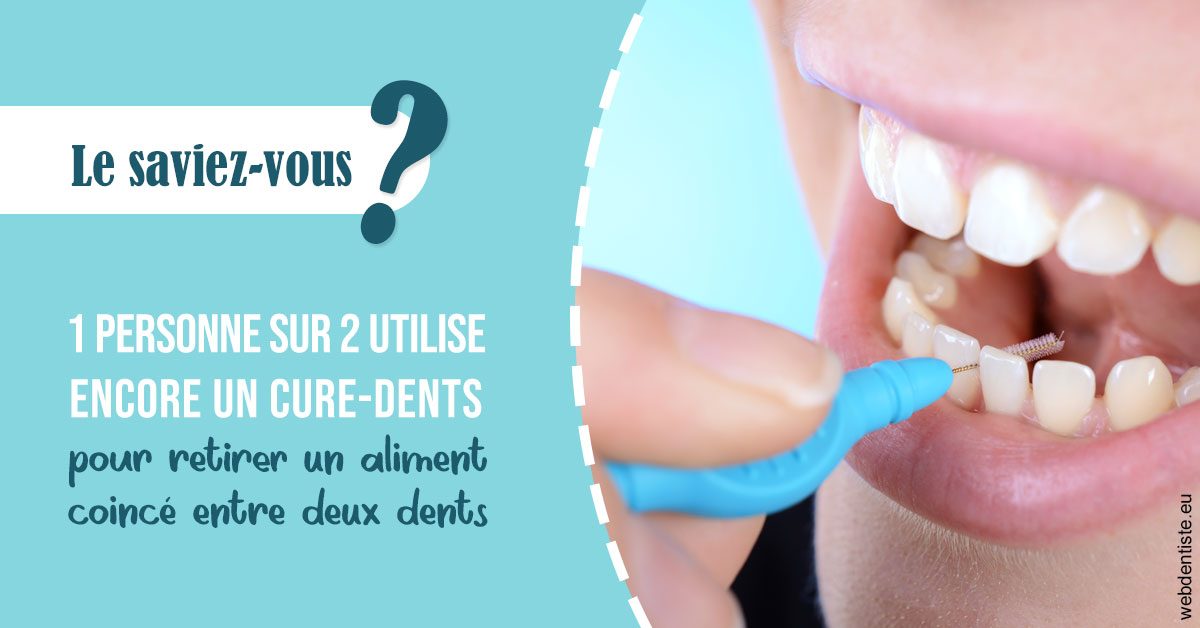 https://dr-strimon-frederic.chirurgiens-dentistes.fr/Cure-dents 1